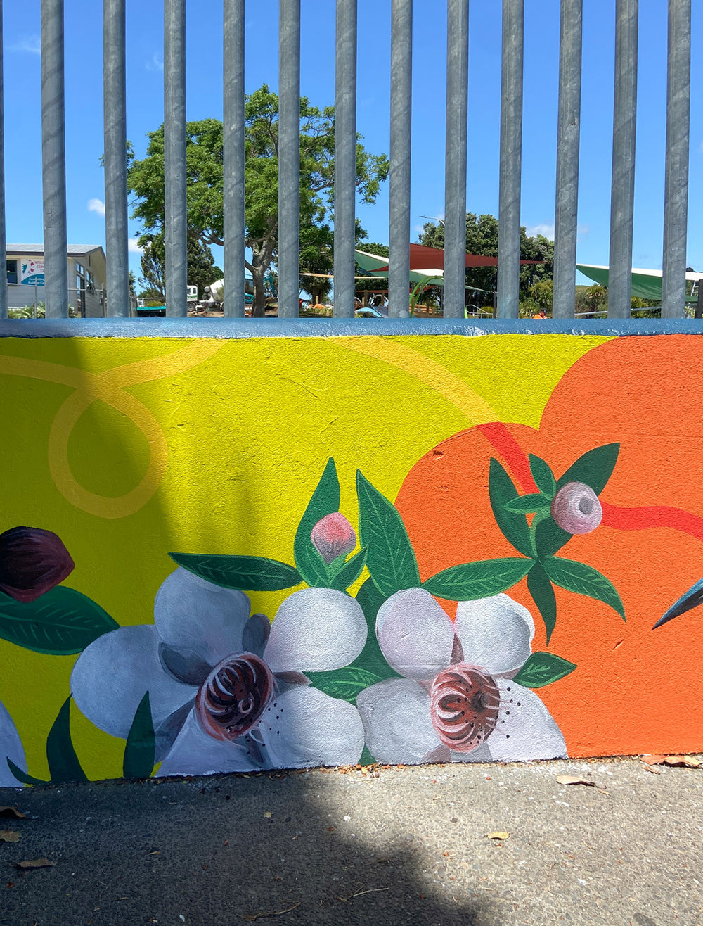 bay of plenty mural artist bold bright