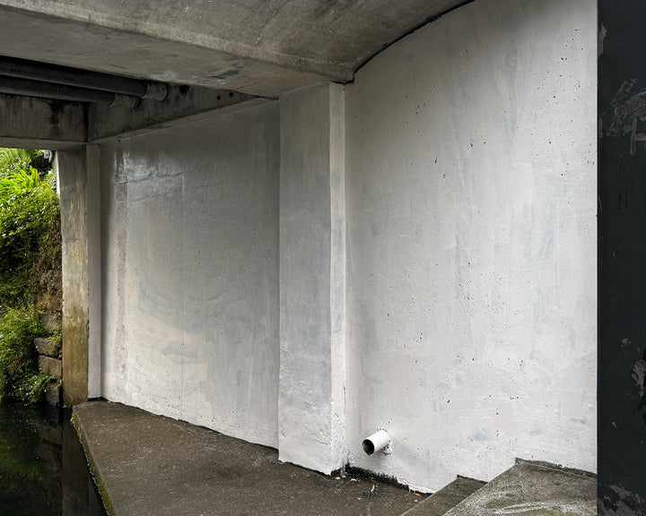 Get Up Festival - New Plymouth Mural