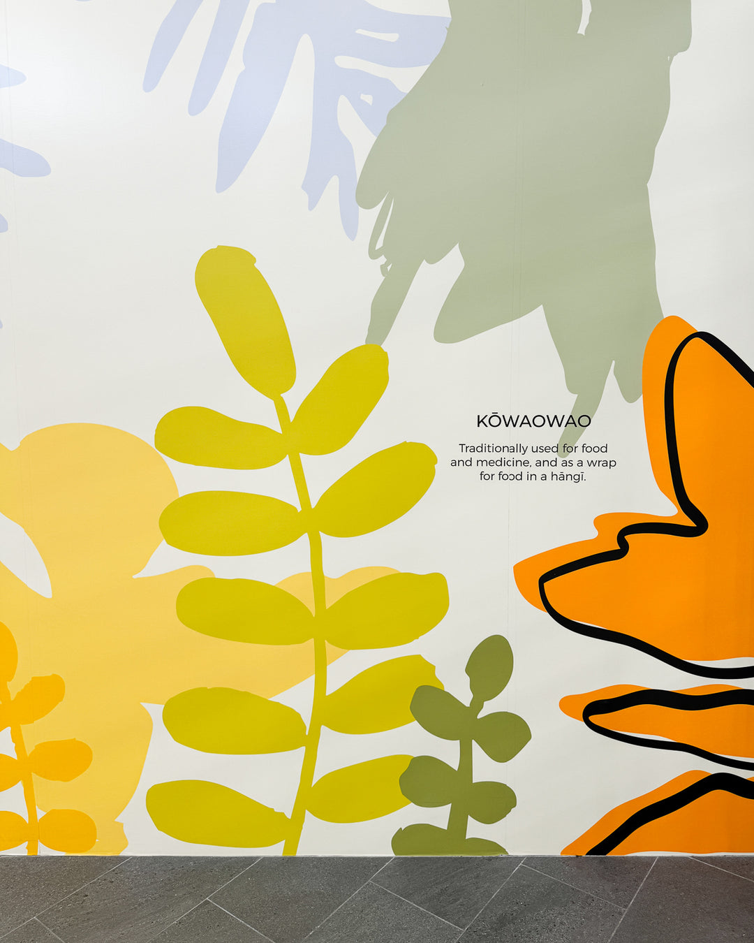 Printed Vinyl Mural - Tauranga Crossing Hoardings