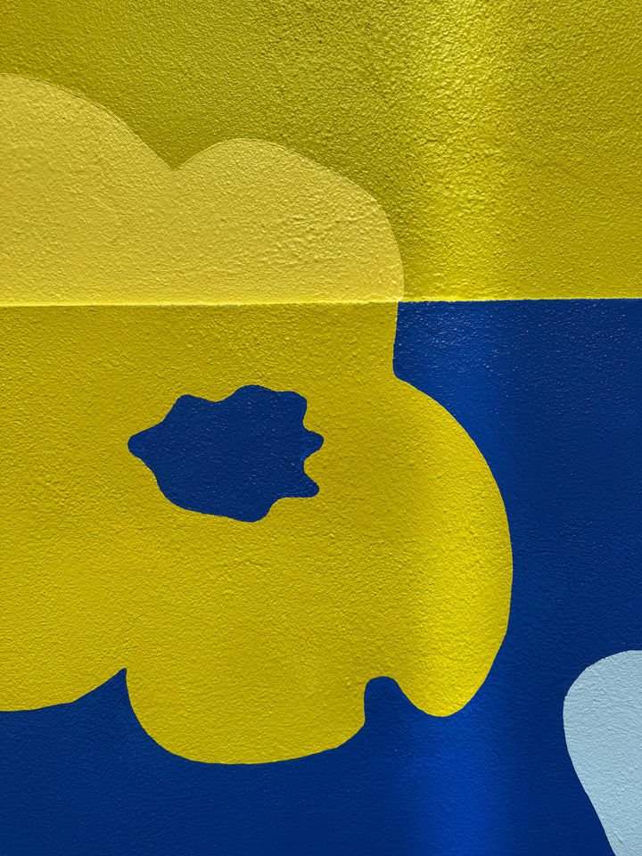 Tauranga Street Art Festival - Exterior Mural